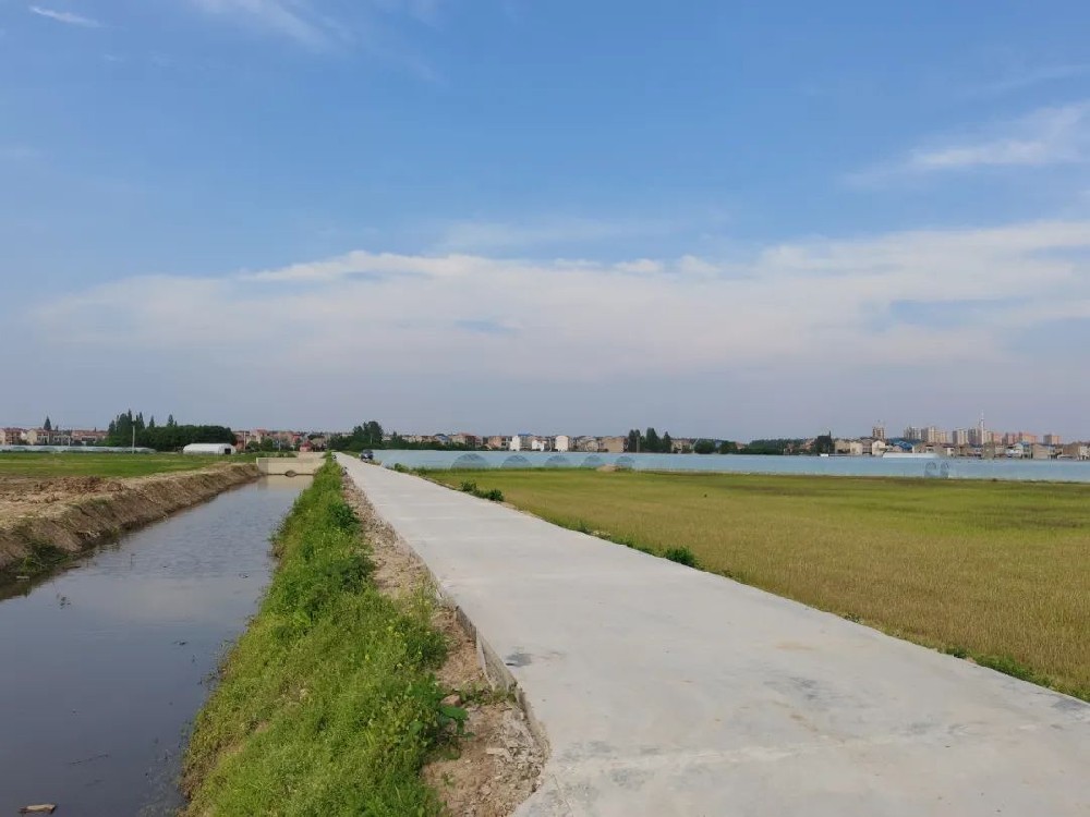 臨潼區高標準農田建設項目